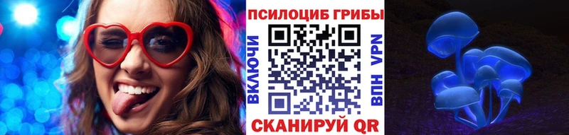 Псилоцибиновые грибы Psilocybine cubensis  Аркадак 